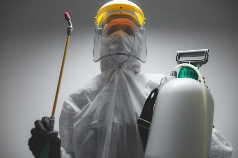 شركة مكافحة حشرات في رأس الخيمة