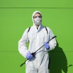 شركة مكافحة حشرات في ام القيوين