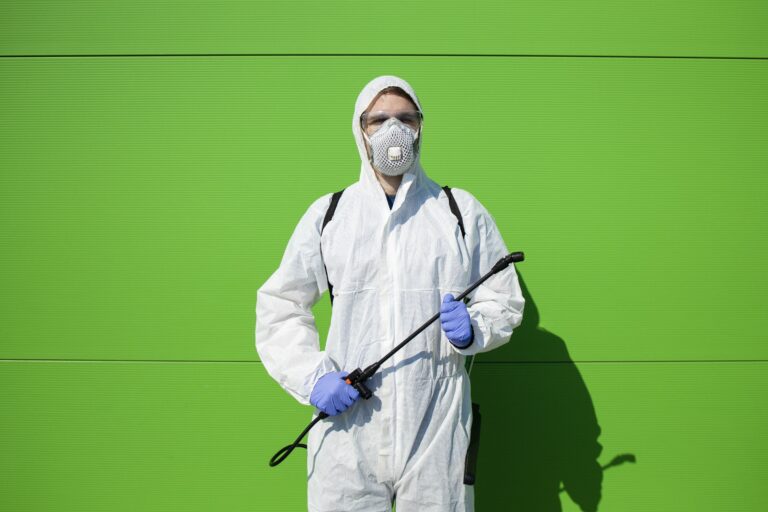 شركة مكافحة حشرات في ام القيوين