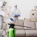 شركة مكافحة حشرات في ابوظبي